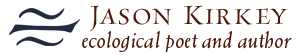 Chameleon Logo