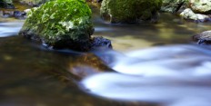 The Riverway